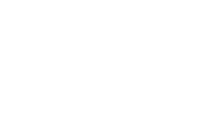 Center Lar